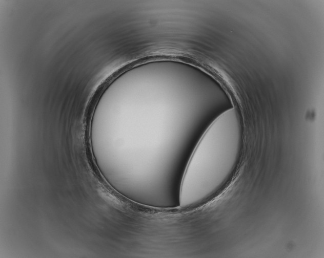 X0000091580779200708201013