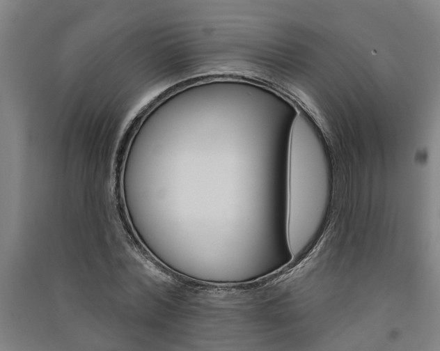 X0000091580780200708201013