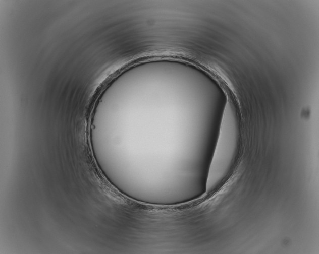 X0000091580781200708201013