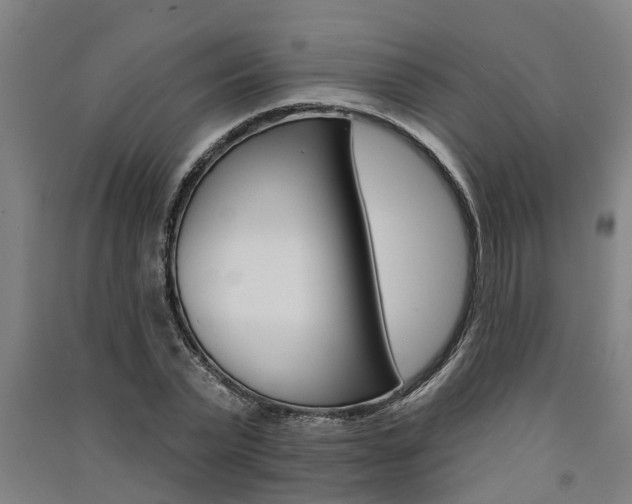 X0000091580783200708201013