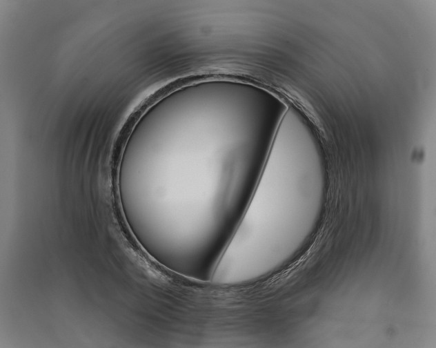 X0000091580784200708201013