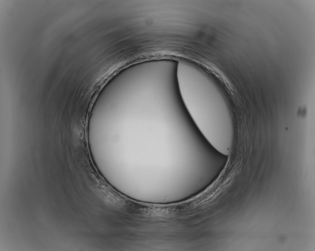 X0000091580785200708201013