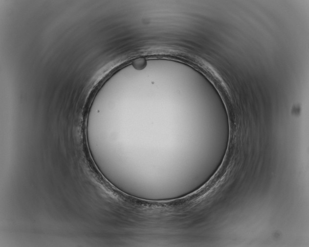 X0000091580786200708201013