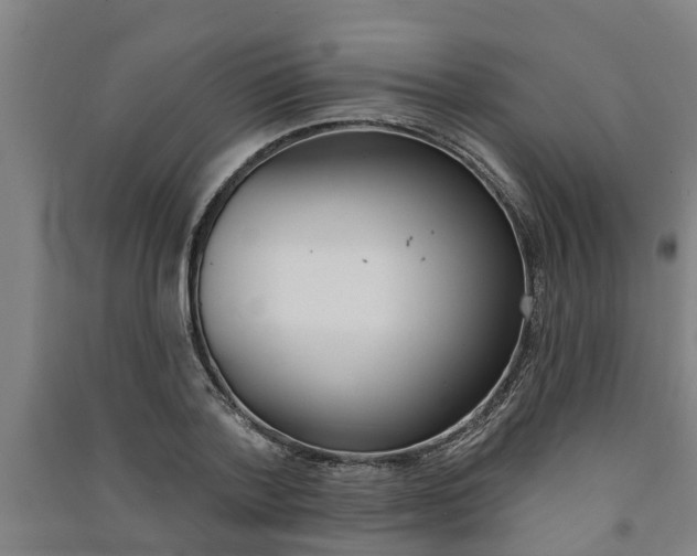 X0000091580788200708201013