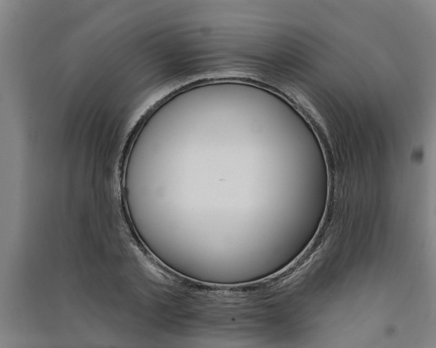 X0000091580789200708201013