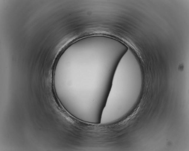 X0000091580790200708201013