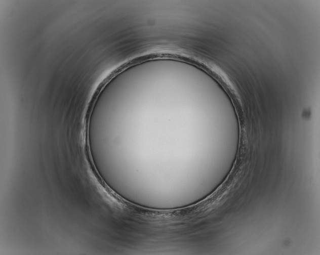 X0000091580791200708201012