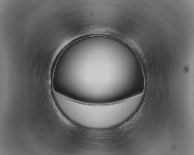 X0000091580792200708201012