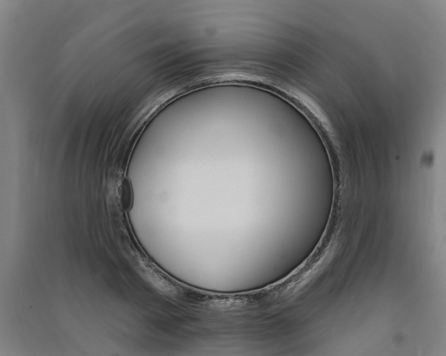 X0000091580793200708201012