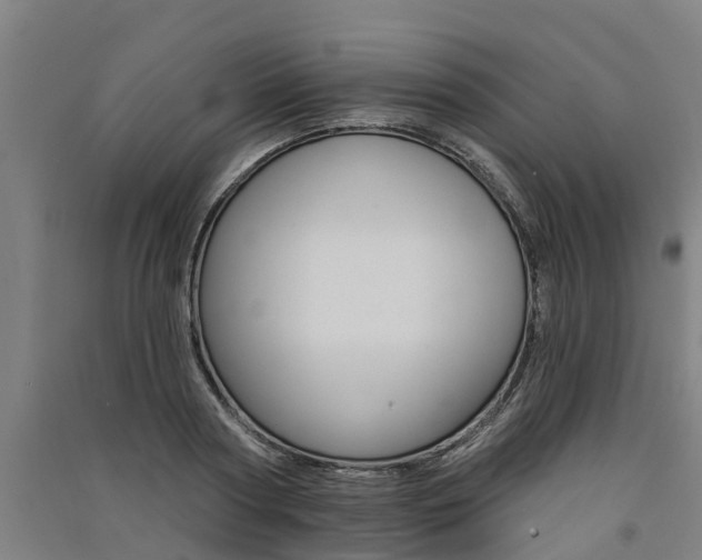 X0000091580794200708201012