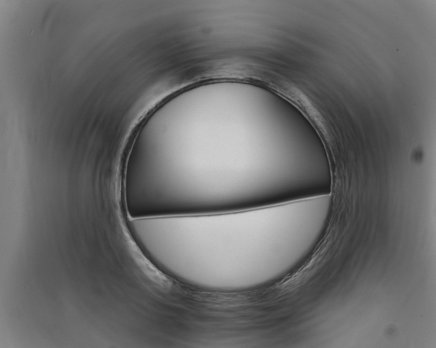X0000091580795200708201012