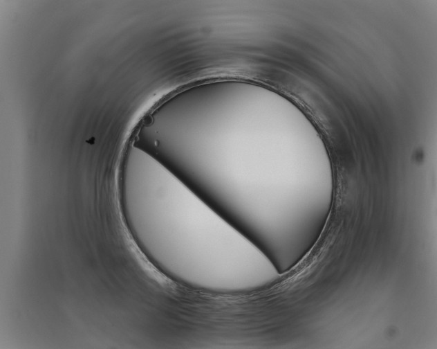 X0000091580796200708201012