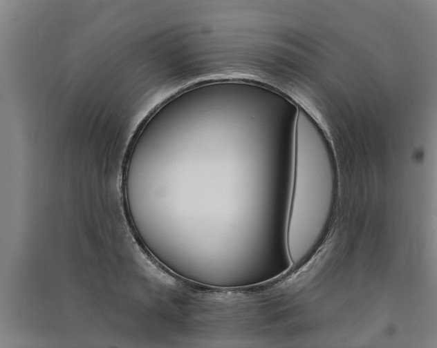 X0000091580797200708201012