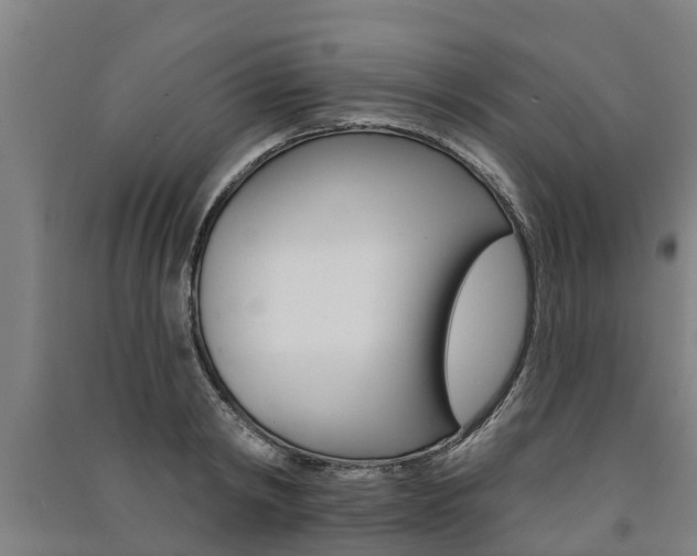 X0000091580798200708201012