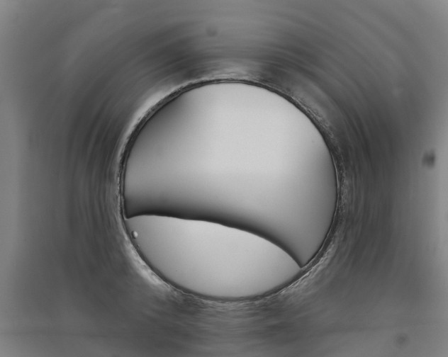 X0000091580800200708201012