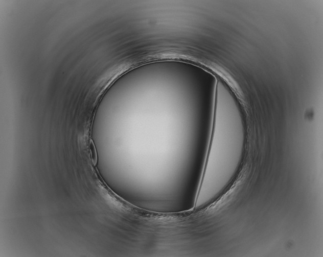 X0000091580801200708201012