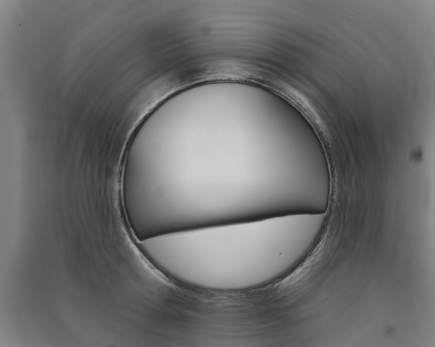 X0000091580802200708201012