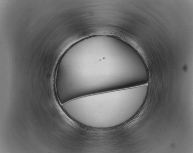 X0000091580803200708201012