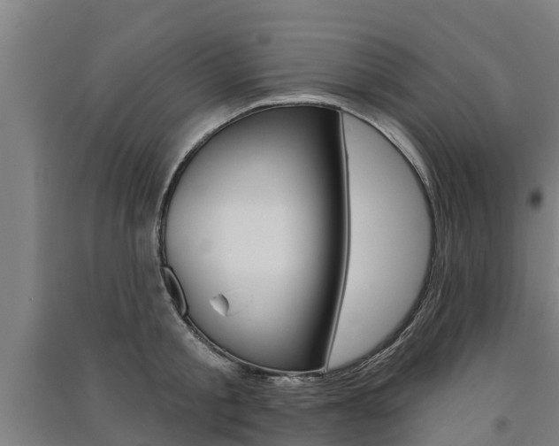 X0000091580805200708201012