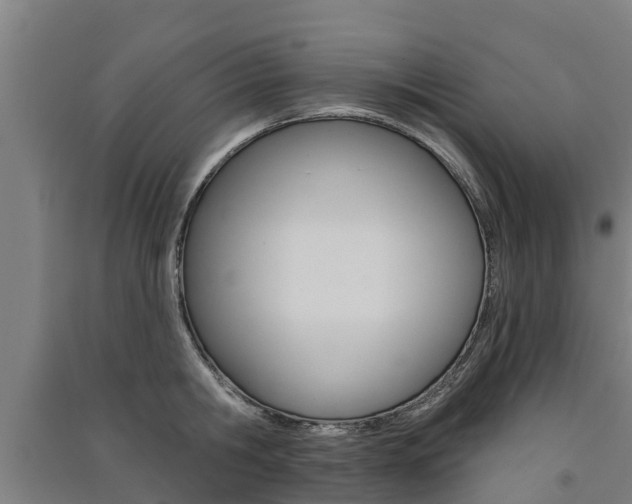 X0000091580806200708201012