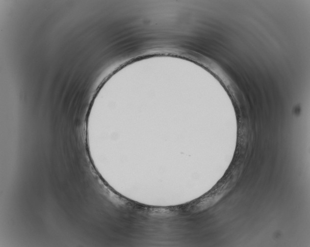 X0000091580807200708201012