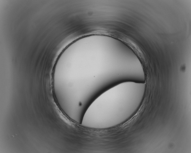 X0000091580808200708201012