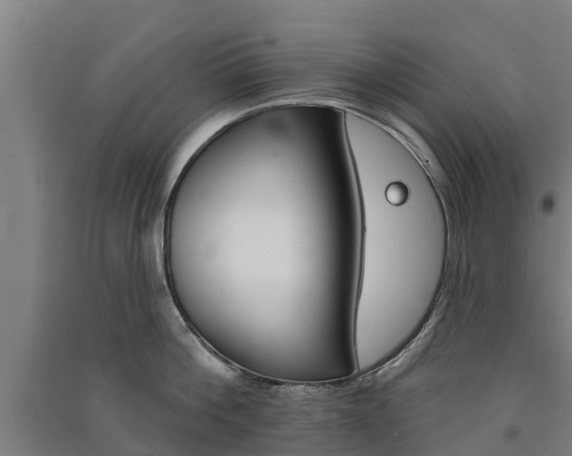 X0000091580812200708201012