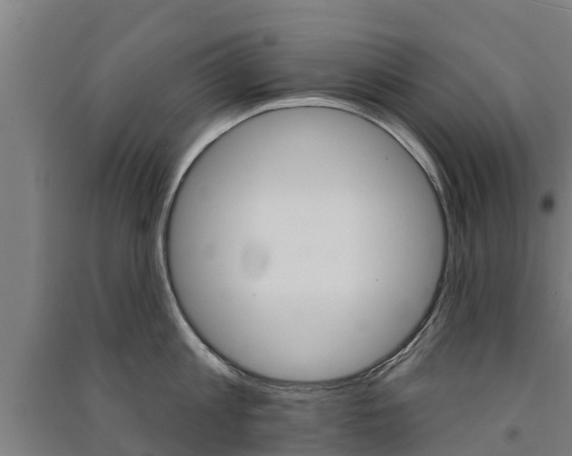 X0000091580813200708201012