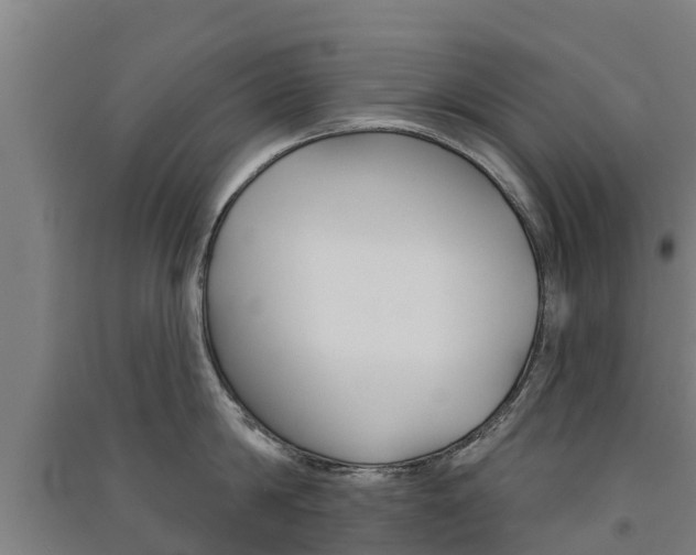 X0000091580814200708201012