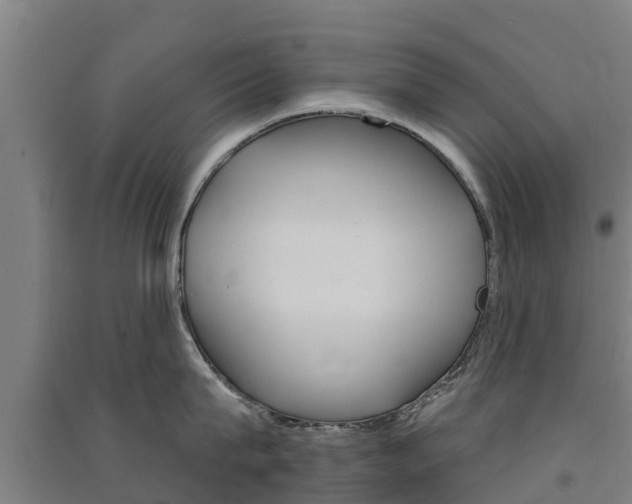X0000091580815200708201012