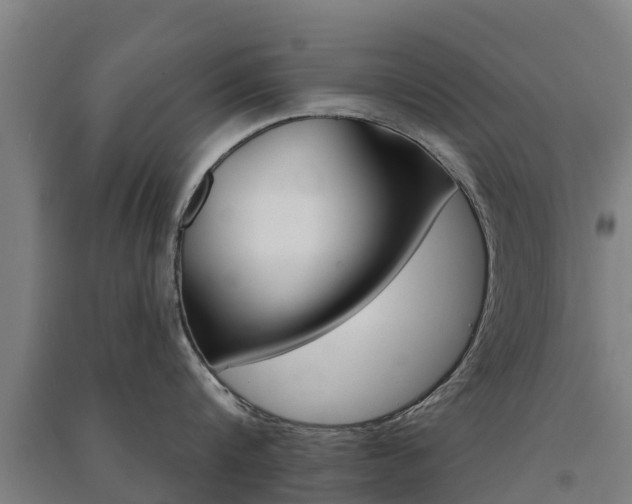 X0000091580816200708201012