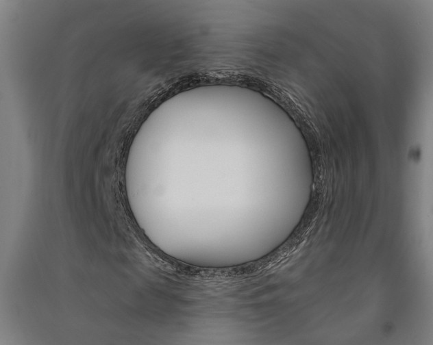 X0000091580817200708201011