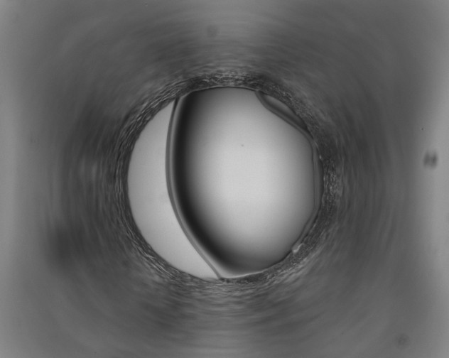 X0000091580818200708201011