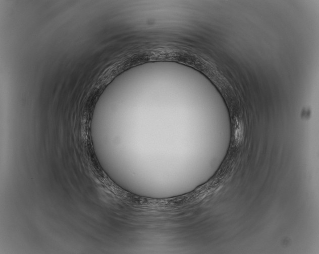 X0000091580819200708201011