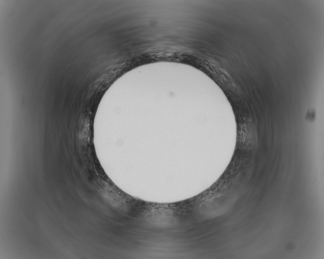 X0000091580820200708201011