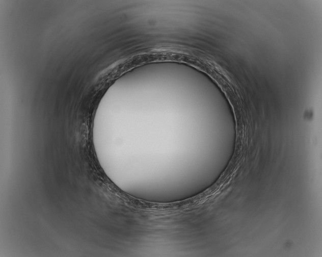 X0000091580821200708201011