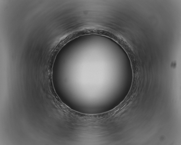 X0000091580822200708201011