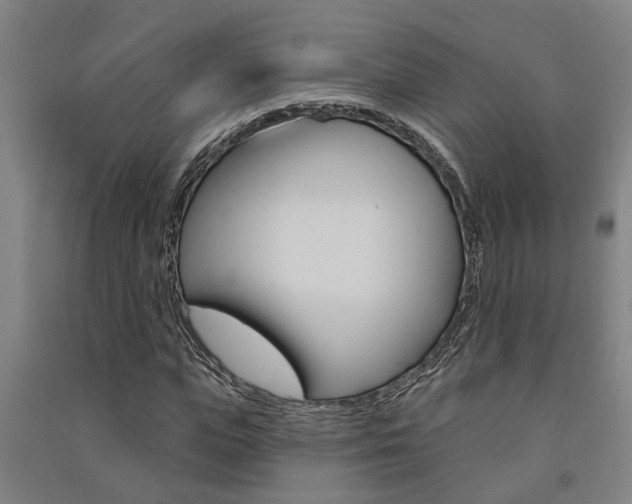 X0000091580823200708201011