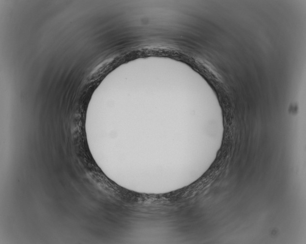 X0000091580824200708201011
