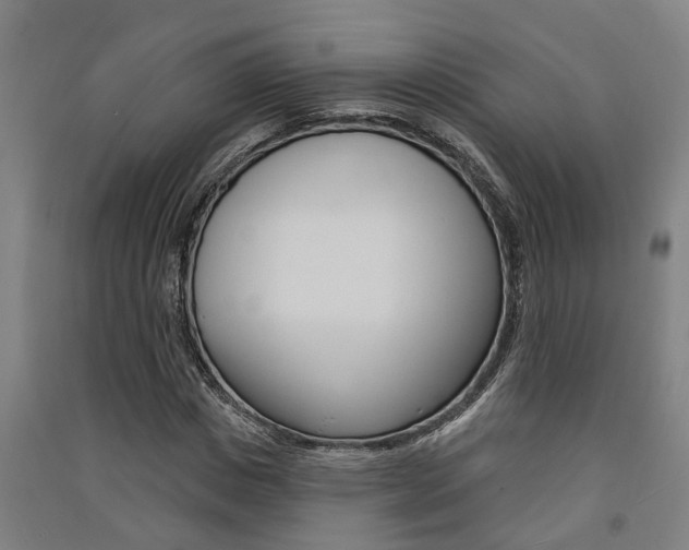 X0000091580825200708201011