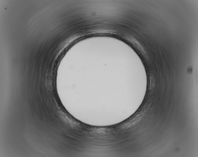 X0000091580828200708201012