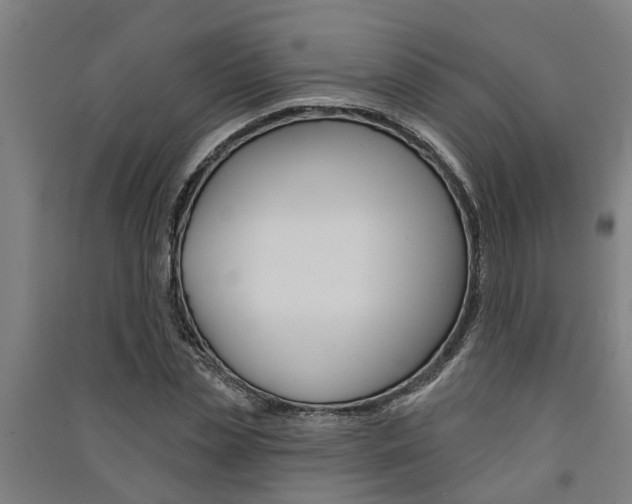 X0000091580829200708201012