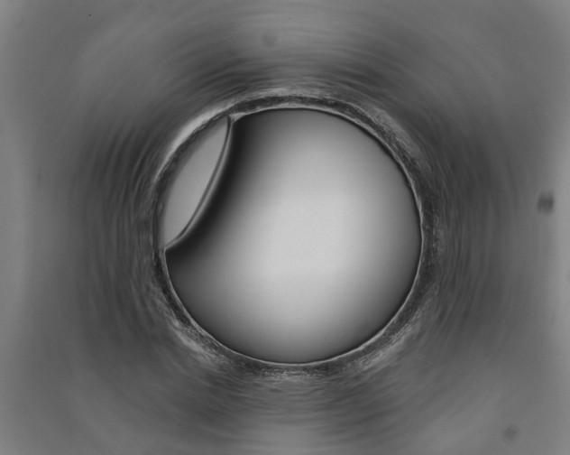 X0000091580830200708201012