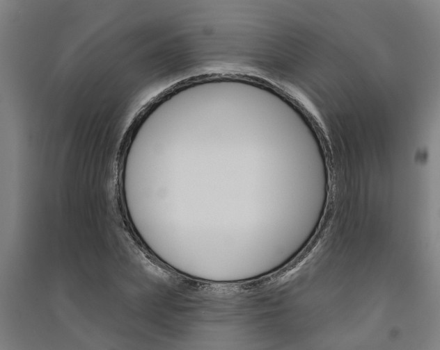 X0000091580831200708201012