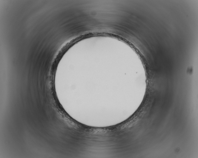 X0000091580832200708201012
