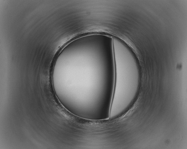 X0000091580834200708201012