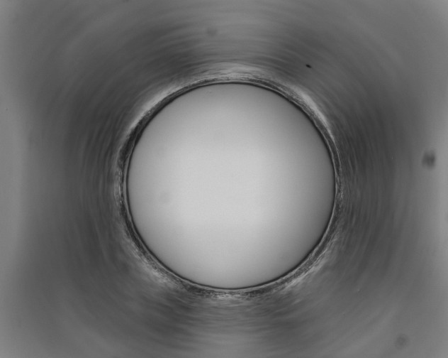 X0000091580835200708201012