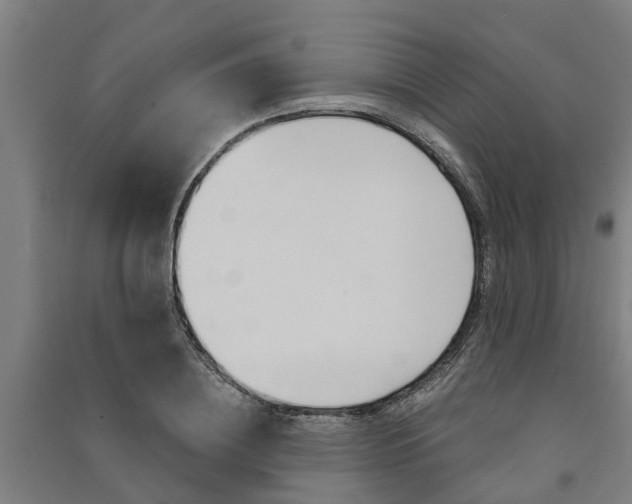 X0000091580836200708201012