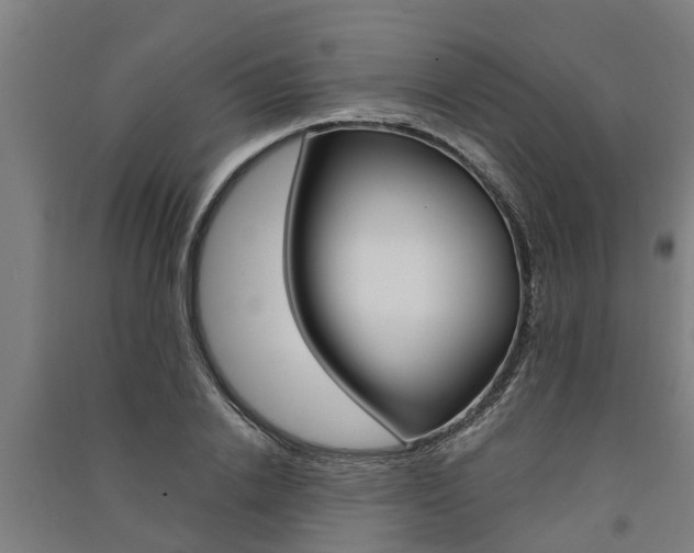 X0000091580838200708201012
