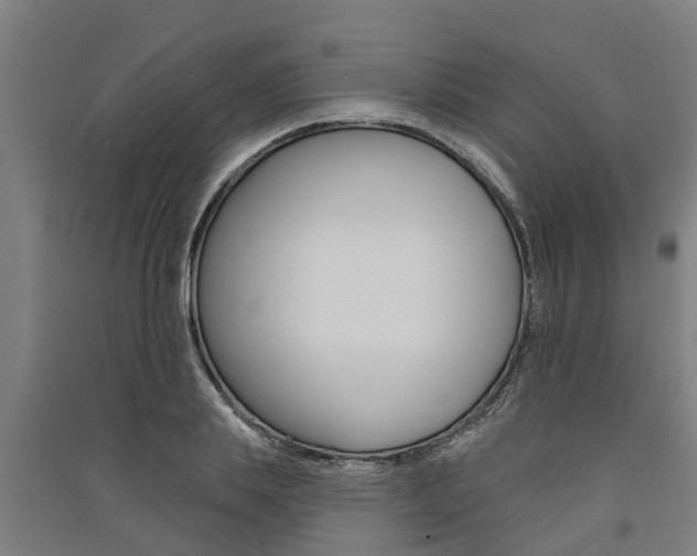 X0000091580839200708201012